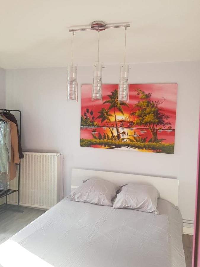 Chambre à louer dans un appartement proche du centre-ville Nevers Esterno foto