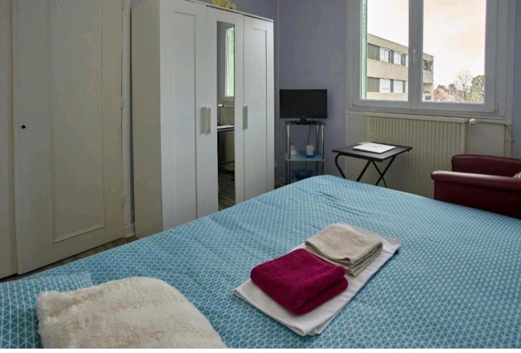 Chambre à louer dans un appartement proche du centre-ville Nevers Esterno foto